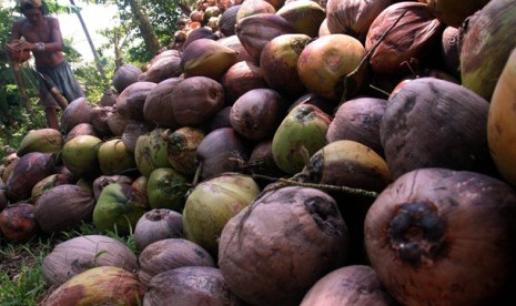 Seorang pekerja mengupas buah kelapa di Manado, Sulawesi Utara, Kamis (14/5). Kelapa tersebut selanjutnya diolah menjadi kopra dan dijadikan minyak goreng dan tepung kelapa serta beberapa bahan makanan lainnya