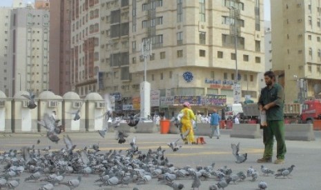 Seorang pekerja perluasan Masjidil Haram sedang memberi makan merpati di terminal parkir Masjidil Haram. Pakan merpati itu banyak dijual pedagang di sekitar Masjidil Haram