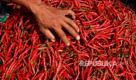 Seorang pembeli memilih cabai merah keriting di pasar tradisional di Mamuju, Sulawesi Barat, rabu (24/5). Menurut pedagang setempat menjelang Ramadan harga sembako mulai naik, di antaranya cabai merah besar dari harga Rp20 ribu per kilogram menjadi Rp35 ribu per kilogram.