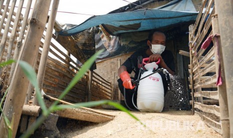 Seorang penduduk menyemprotkan cairan desinfektan di kandang itik terkait kasus flu burung yang menyebabkan kematian puluhan unggas, di Kampung Lebakwangi, Desa Sekarwangi, Kecamatan Soreang, Jumat (24/2).