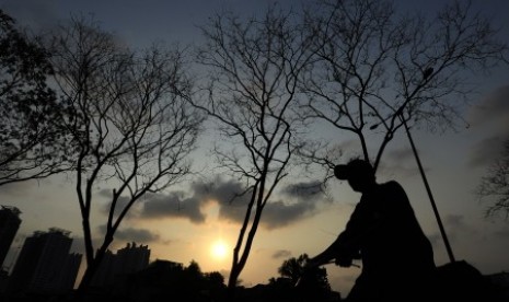 Seorang pengendara sepeda melintasi di depan pohon-pohon yang meranggas di Kawasan Kemayoran, Jakarta, Senin (12/10). BMKG memperkirakan saat ini tengah terjadi dampak El Nino terkuat sepanjang 50 tahun terakhir