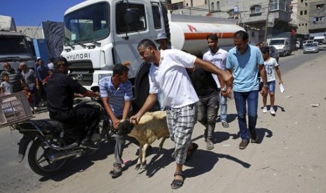  Seorang pengungsi Palestina di Kamp Pengungsian Shati, Kota Gaza, tengah mengambil kambing bantuan Zakat Foundation of Amerika. Lembaga filantropi tersebut menyalurkan bantuan hewan kurban melalui lembaga urusan Pengungsian PBB, UNRWA di Gaza, Palestina.