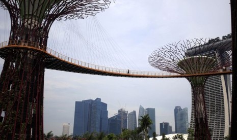 Seorang pengunjung berjalan di jembatan yang menghubungkan pohon-pohon raksasa 