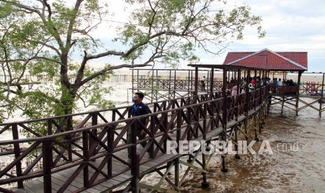 Seorang pengunjung menikmati pemandangan laut di Desa Wisata Sungai Kupah di Kecamatan Sungai Kakap, Kabupaten Kubu Raya, Kalimantan Barat, Rabu (9/3/2022). Sekretaris Daerah Provinsi Kalimantan Barat, Harisson, mengatakan, pemerintah daerah harus mampu memaksimalkan potensi pariwisata di daerahnya masing-masing. 