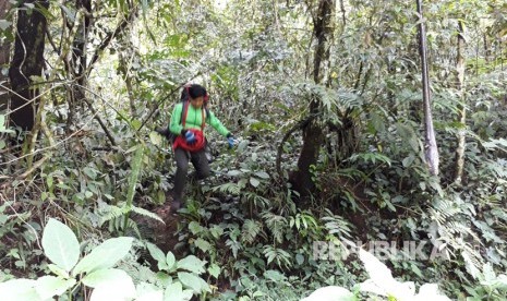 Seorang pengunjung tengah turun gunung ke Resor Selabintana di kawasan Taman Nasional Gunung Gede Pangrango (TNGGP) akhir pekan lalu. Kawasan tersebut menjadi salah satu obyek wisata pada momen libur panjang.