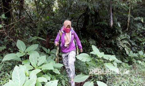 Pendakian ke Gunung Gede-Pangrango Kembali Dibuka. Seorang pengunjung tengah turun gunung ke Resor Selabintana di kawasan Taman Nasional Gunung Gede Pangrango (TNGGP). Ilustrasi