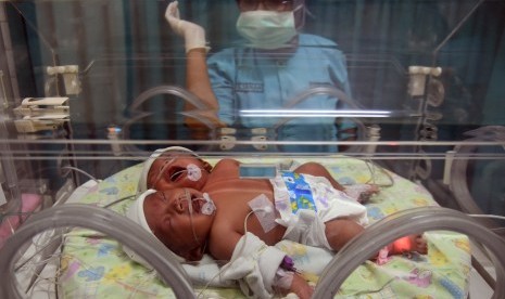 Seorang perawat berada di samping bayi perempuan berkepala dua yang dirawat secara intensif di ruang Neonatologi RSUD Ibnu Sina Gresik, Jawa Timur, Rabu (10/8). 