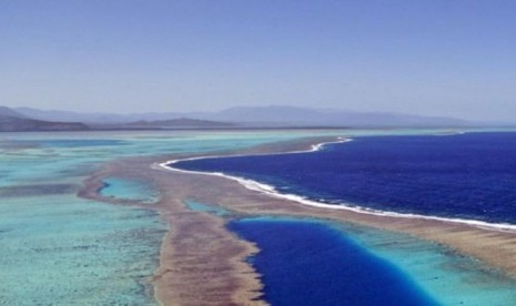 Seorang peselancar payung Australia jatuh ke laut dan digigit hiu di Kaledonia Baru.