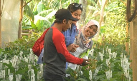  Seorang petani anggota Kelompok Tani Ngudi Rahayu, Dusun Kalibening, memberi penjelasan cara-cara budi daya tanaman buah alpukat kepada pengunjung. 