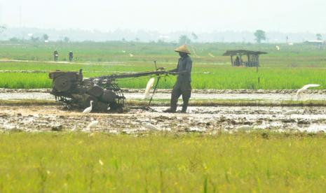 Seorang petani di Desa Sraten mengolah lahan untuk persiapan masa tanam dengan menggunakan alat mesin pertanian (alsintan) berbahan bakar solar, Selasa (13/9). Data jumlah dan kebutuhan bahan bakar alsintan diperlukan dalam pemberian bantuan serta akses kebutuhan BBM bagi produksi pertanian.