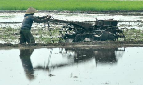 Seorang petani di Desa Sraten mengolah lahan untuk persiapan masa tanam dengan menggunakan alat mesin pertanian (alsintan) berbahan bakar solar.