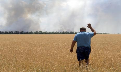 Seorang petani di ladang gandum miliknya di Dnipropetrovsk, Ukraina, Senin, 4 Juli 2022. Menteri Pertahanan Turki, Hulusi Akar mengumumkan bahwa, pejabat Turki, Ukraina, Rusia dan Perserikatan Bangsa-Bangsa (PBB) sepakat untuk mendirikan pusat koordinasi di Istanbul. Kuwait dan Bahrain Lega Ekspor Gandum Ukraina Dibuka Melalui Laut Hitam