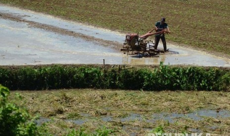 Seorang petani membajak sawah dengan menggunakan traktor di Cidaun, Kabupaten Cianjur. Jawa Barat. (Republika/Edi Yusuf)