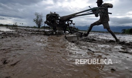 Seorang petani membajak sawah untuk ditanami padi di Desa Sidera, Kabupaten Sigi, Sulawesi Tengah (ilustrasi)