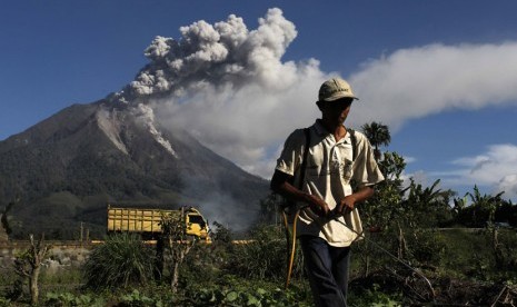 Seorang petani menyemprotkan pestisida dengan latar Gunung Sinabung yang memuntahkan abu ke udara di desa Sibintun di Kabupaten Karo, Sumut, Senin (25/11).  (Reuters/Beawiharta)