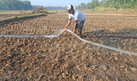 Seorang petani menyirami lahan pertanian kacang miliknya menggunakan air dari sumur bor di Gumukrejo, Andong, Boyolali, Jawa Tengah, Senin (24/6/2019). P