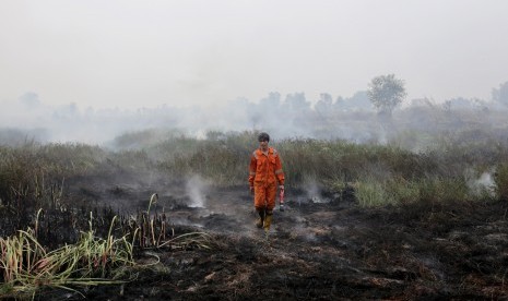 Seorang petugas BPBD Propinsi Sumatra Selatan berjalan diantara lahan yang terbakar di Desa Sungai Rambutan, Kecamatan Indralaya Utara, Ogan Ilir (OI), Sumsel. Jumat (9/10). 