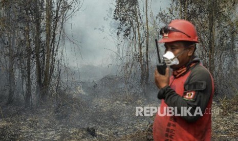 Seorang petugas Manggala Agni melakukan kordinasi saat melakukan pendinginan saat kebakaran hutan di Desa Rimbo Panjang, Kabupaten Kampar, Riau, Selasa (17/9).