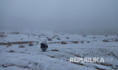 Seorang pria dengan latar  salju yang  turun di Provinsi Tabuk, Arab Saudi. Hujan Salju Mulai Turun di Arab Saudi