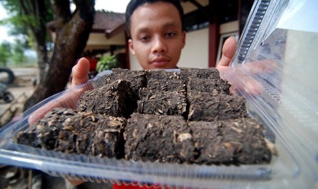 Seorang siswa menunjukkan bahan bakar alternatif briket berbahan enceng gondok buatannya di SMK Negeri 1 Bawen, Kabupaten Semarang, Jawa Tengah, Kamis (12/11).