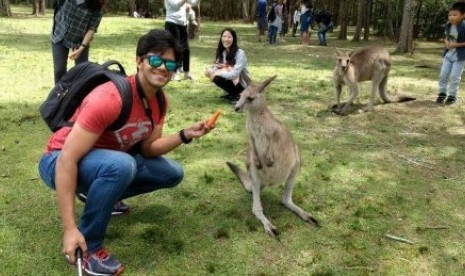  Seorang turis berselfie sembari memberi wortel ke seekor kanguru di Morisset Hospital di Lake Macquarie.