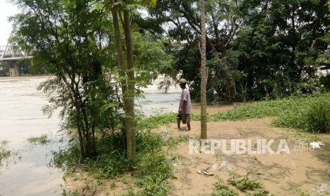 Seorang warga berdiri di bantaran sungai Cimanuk yang terendam air di Bendung Karet Bangkir, Kecamatan Lohbener, Kabupaten Indramayu, Kamis (22/2).