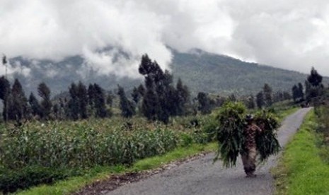 Pemandangan di sekitar Gunung Sindoro yang tertutup kabut 