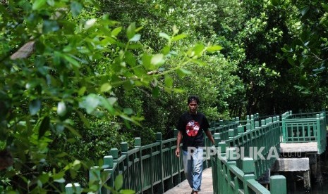  Seorang warga melintas di kawasan hutan mangrove Angke Kapuk, Jakarta Utara.