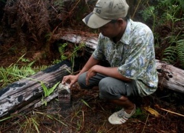 Seorang warga memegang patok tapal batas di Dusun Camar Bulan, Desa Temajok, Kecamatan Paloh, Kabupaten Sambas, Kalbar. Patok semen tipe D nomor A104 itu merupakan hasil kesepakatan Indonesia-Malaysia 1978.