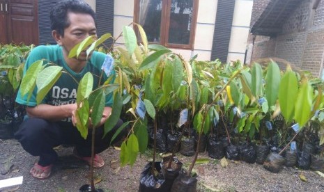 Seorang warga mendapat benih tanaman berkualitas yang dibagikan Kementerian Pertanian