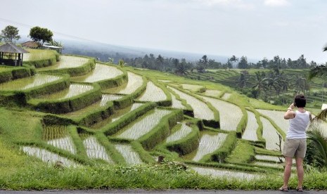 Seorang wisatawan mancanegara memotret pamandangan sawah di Jatiluwih, Tabanan, Bali.