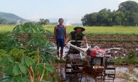 Sertu Yuliardi turun ke sawah bantu petani.