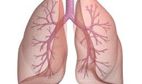 Untuk menegakkan diagnosis pneumonia, pasien bisa menjalani pemeriksaan darah, dahak dan rontgen dada.