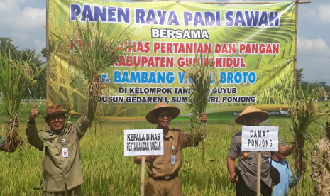 Setelah panen raya Gunungkidul bersiap kembali tanam padi.