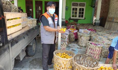 Setelah sukses menangani sampah anorganik bersama warga Desa Kebandingan, kini Bank Sampah Melingkar yang didirikan oleh Relawan Inspirasi Rumah Zakat Desa Berdaya Kebandingan,mencoba mengembangankan kegiatanya untuk menangani permasalahan sampah organik yang ada dilingkungan desa kebandingan, kecamatan Kedungbanteng, Kabupaten Tegal, provinsi Jawa Tengah.