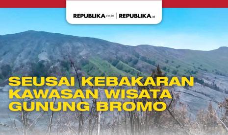 Seusai Kebakaran Kawasan Wisata Gunung Bromo