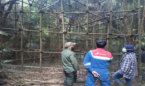 Si Ukong dan Si Gomeh, dua Owa Jawa dari kandang rehabilitasi Taman Nasional Gede Pangrango di Lido, siap  menempati rumah baru mereka di kawasan Wahana Wisata Gunung Puntang.