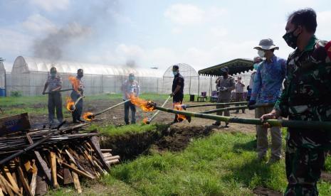 Sinergi antara Balai Besar Karantina Pertanian (BBKP) Surabaya bersama Bea Cukai Kediri melakukan pemusnahan 1,5 ton benih sawi putih senilai Rp1,2 miliar yang berasal dari Korea Selatan, Kamis (16/7).