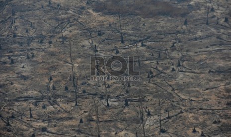 Sisa bekas kebakaran lahan di wilayah Cengal, Ogan Komering Ilir, Sumatera Selatan, Jumat (6/11). Republika/Edwin Dwi Putranto