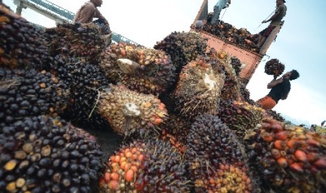 Sisa kelapa sawit digunakan warga Lebak sebagai bahan bakar.