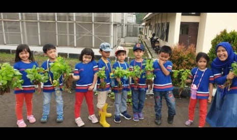 Siswa KB-TK Bosowa Bina Insani diajari mengenal, menanam, memanen dan belanja  tanaman sayur dan buah.