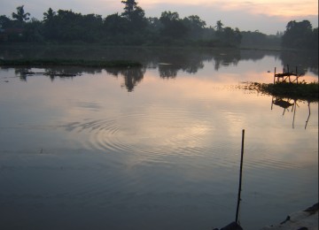 Situ Sasak Tinggi Pamulang