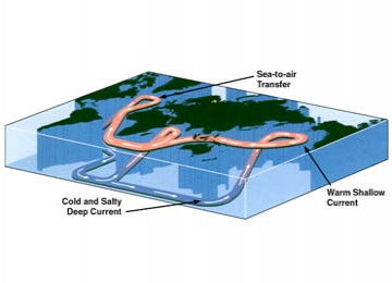 Skema sistem arus samudera global