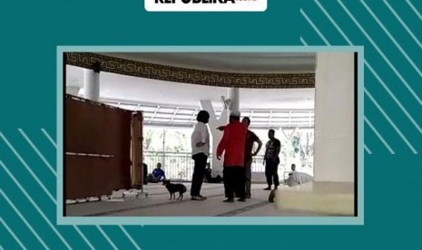 Skizofrenia Paranoid yang diderita wanita pembawa anjing ke Masjid Al Munawaroh Sentul