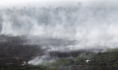 Smoke billows during a forest fires in Pelalawan, Riau province, Indonesia, as seen in this file photo on June 27, 2013. 