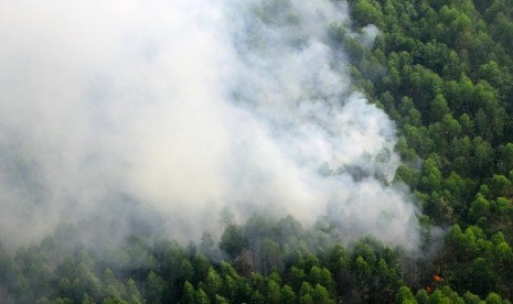 Smoke rises from a burnt forest. (illustration)