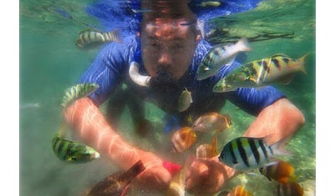 Snorkeling di Taman Laut Bunaken sambil bercengkrama dengan ikan-ikan cantik. 