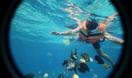 Snorkling in Gili Trawangan, North Lombok, West Nusa Tenggara. (iilustration)  