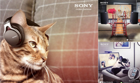 Sony rilis produk Animalia.