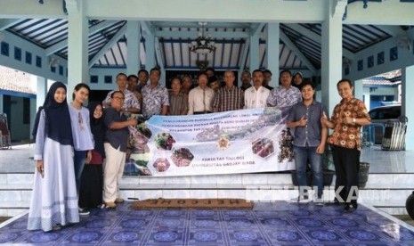 Sosialisasi potensi labu susu dan kelengkeng super Sleman dari Fakultas Biologi UGM.